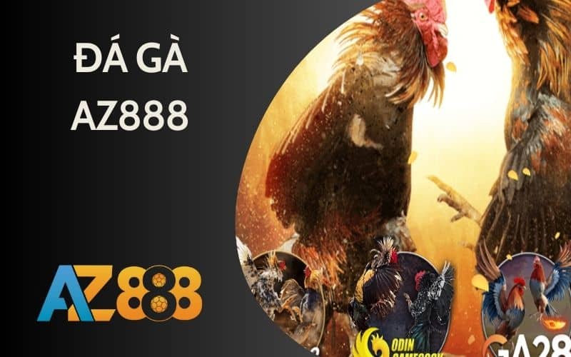 Đá gà AZ888 cung cấp các trận đá gà gây cấn Đá gà AZ888 cung cấp các trận đá gà gây cấn